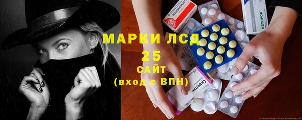 хмурый Инта