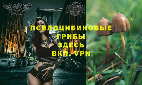 хмурый Инта
