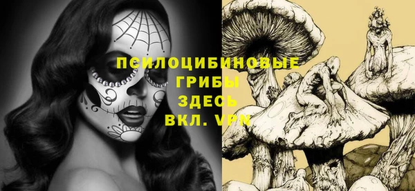 бошки Иннополис