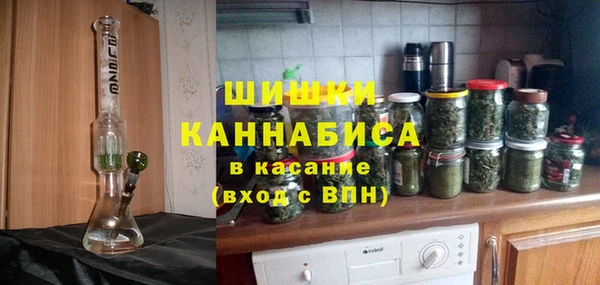 стаф Инсар