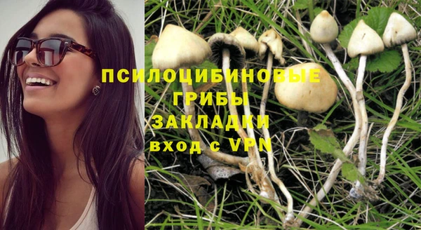 хмурый Инта