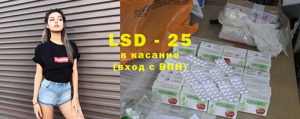 хмурый Инта