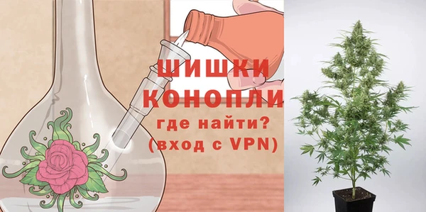 бошки Иннополис