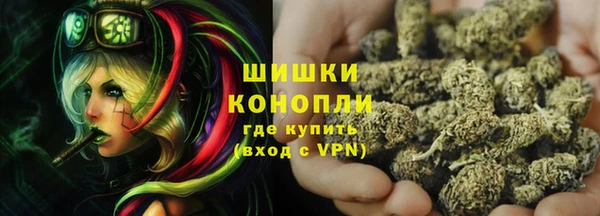 стаф Инсар