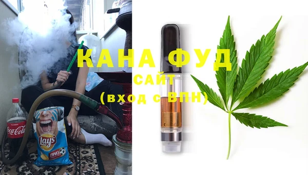 хмурый Инта