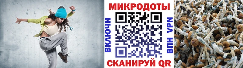 Псилоцибиновые грибы GOLDEN TEACHER  Купить  Осташков 
