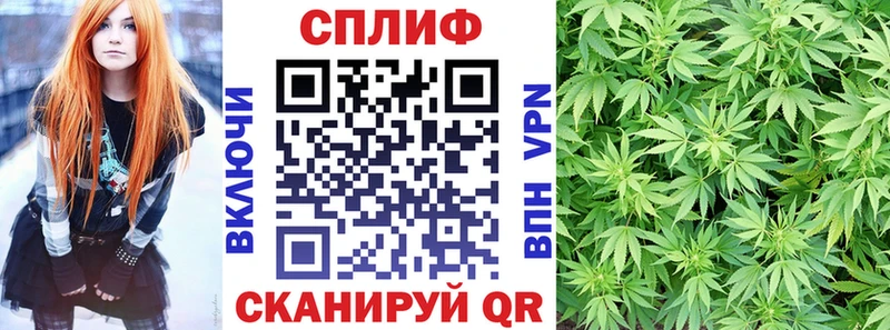 Купить где  Осташков  Каннабис MAZAR 